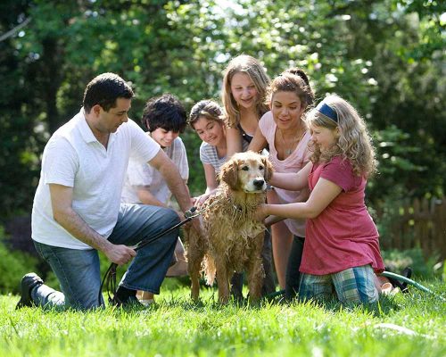 step-by-step-ohio-family-100x800